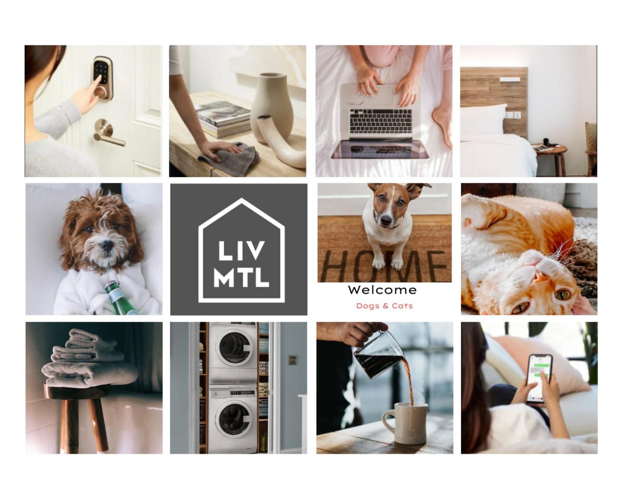 Liv Mtl Mtl Apartahotel 3*